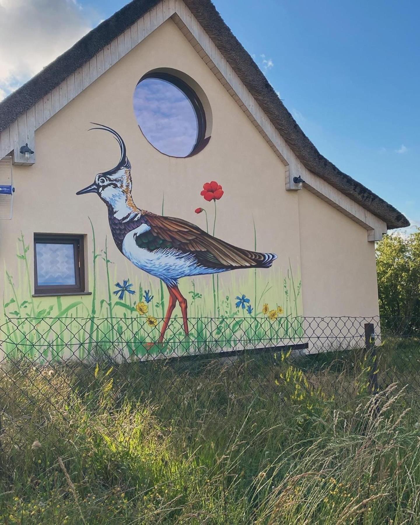Ptasia Osada Gardna Wielka Bagian luar foto